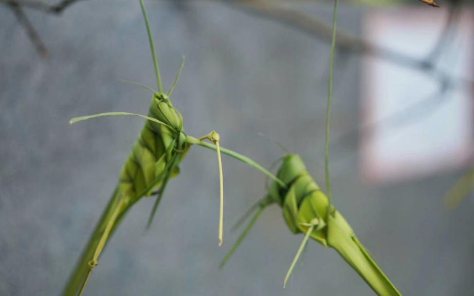 文化维他命小苑云课堂走进江南非遗棕编