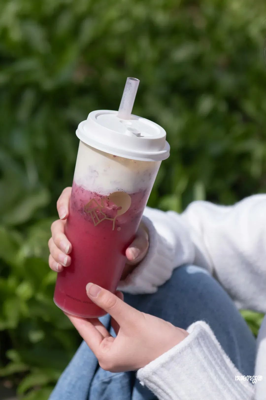 喜茶又双叒叕出新品巨巨巨多肉杨梅一口爆汁