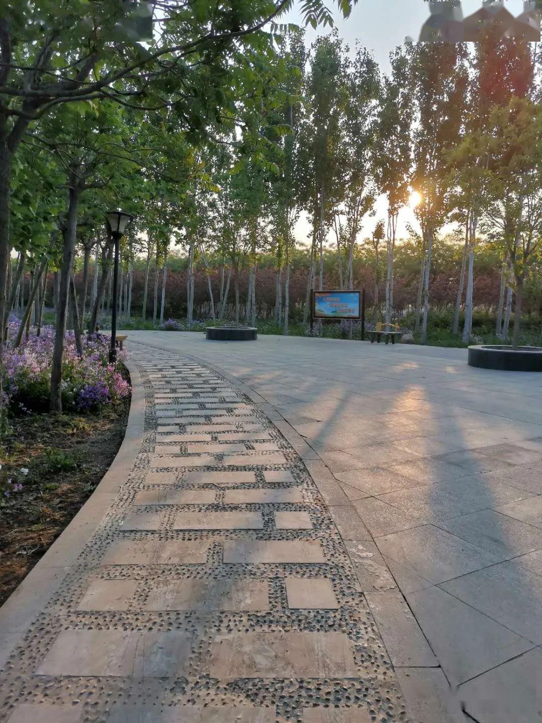 无极县希望公园,早上谁来过