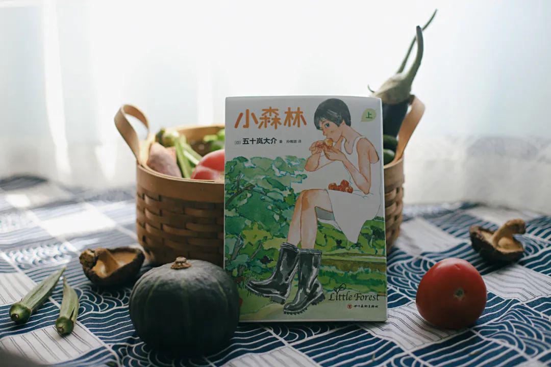 今次引进的《小森林》,也有一部广受好评的真人改编电影,由 桥本爱