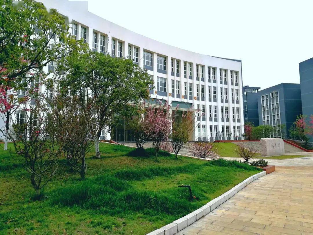 万万没想到你是这样的师院第六期