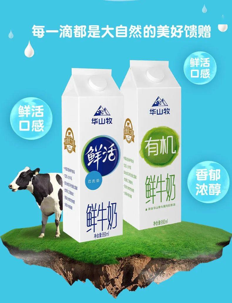 c位出道这位小鲜肉你pick了吗