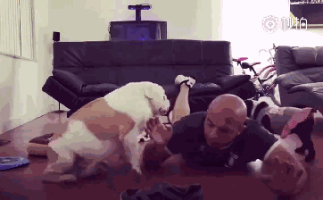 362_224gif 动态图 动图