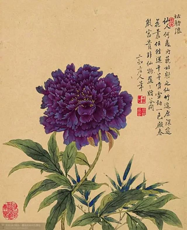 ▽鄒一桂 惲蘭溪《牡丹圖》(花卉八開)▽鄒一桂 惲蘭溪《桃花圖》