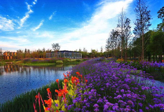 9:00-16:00小龙虾垂钓活动——宝山湖沪宝垂钓中心扬起钓竿,重温童年