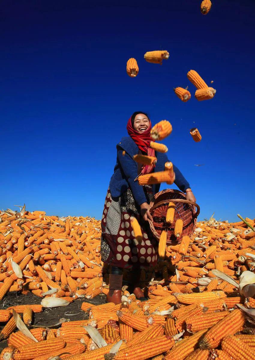 寻找最美她瞬间邀你来参加