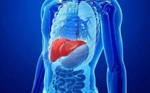 其自身的毒性或人体对这些药物发生过敏反应, 引起肝脏或者肾脏的损伤