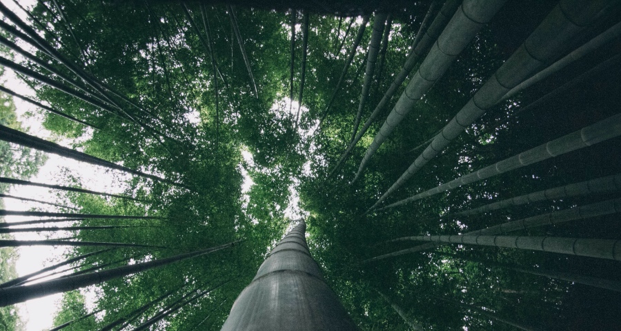 一季报吹响家电市场淘汰赛号角：山寨假冒品牌率先退出，还有谁？-家电圈官网