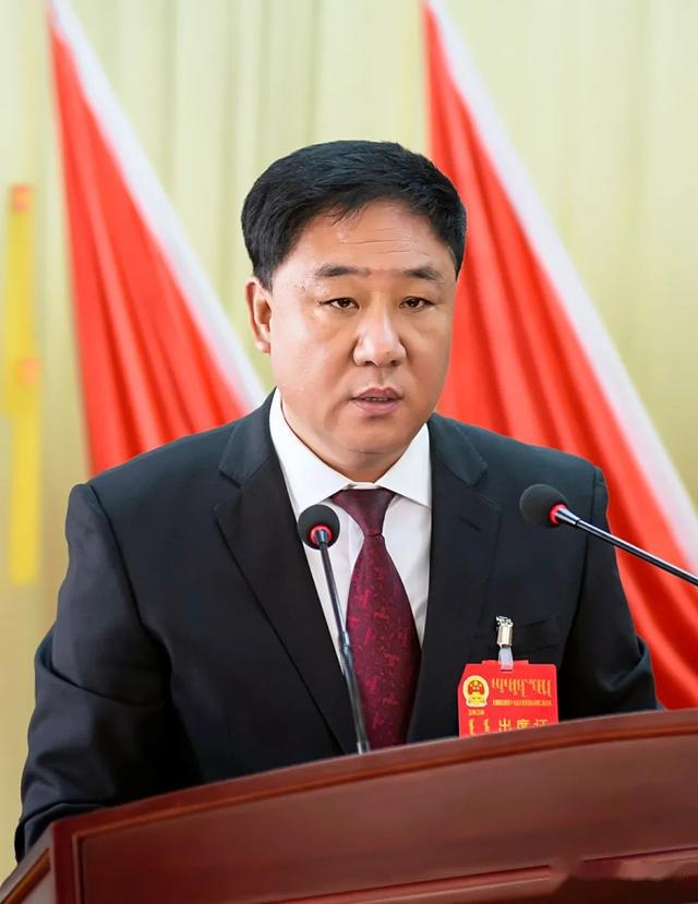 旗人民政府常务副旗长董文清作了旗人民政府2019年度民生实事项目完成