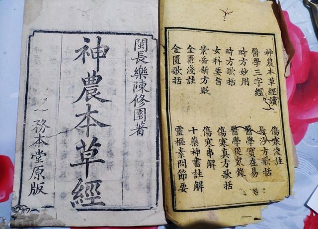 搭配藏须天麻和茵阳芝具有很强抗氧化作用,还能够提高肝脂酶活血,降低