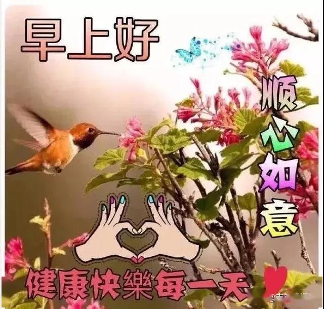 幼儿园早安问候语图片