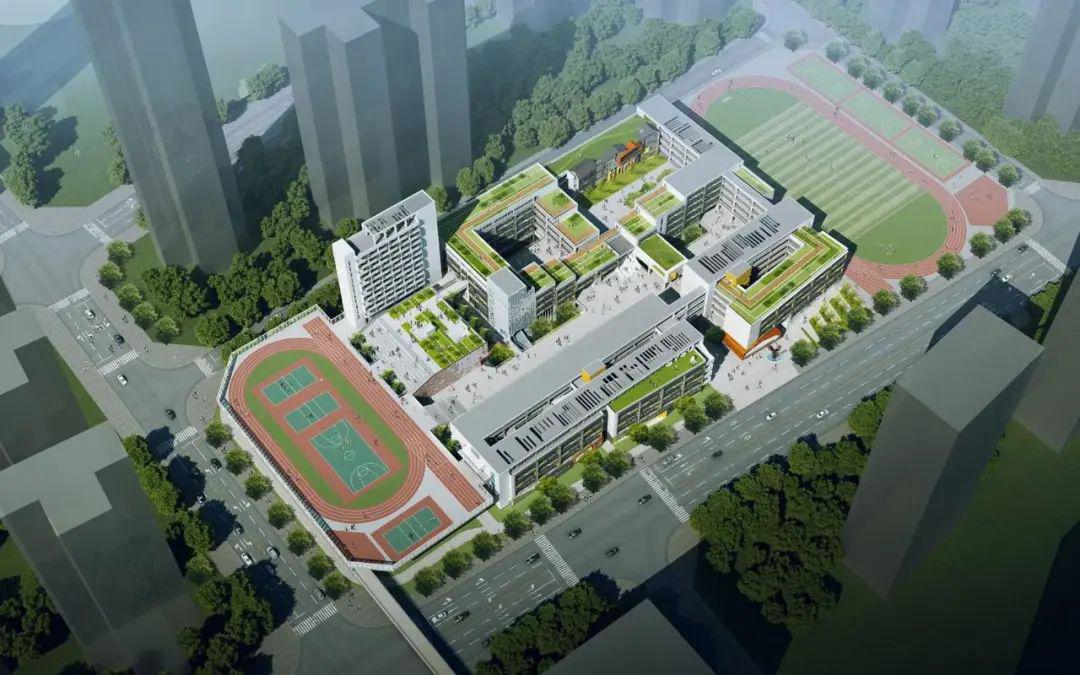 权威发布光明未来五年新增近6万个学位2020年招生新变化出炉