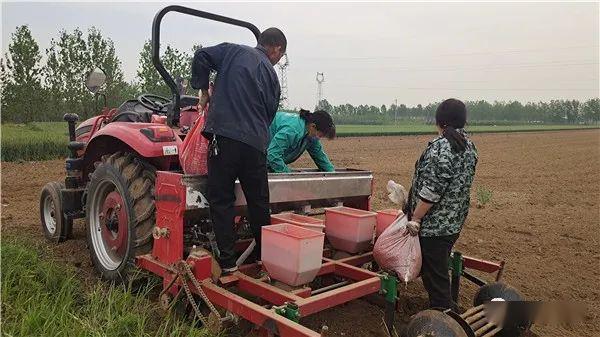 田庄乡武楼村:村级集体经济多点开花_发展
