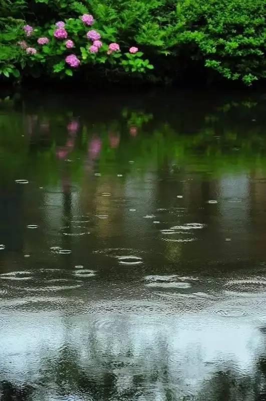 最美的微风细雨图片图片