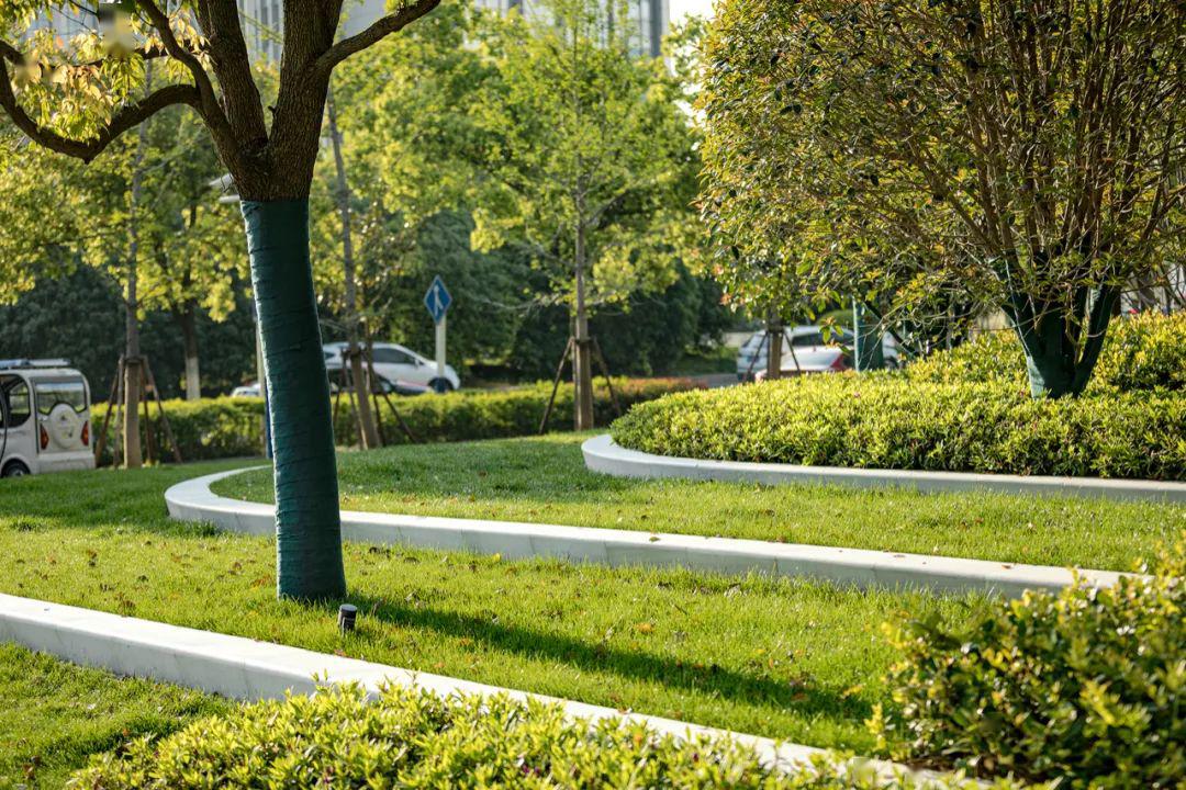 合肥君悦酒店景观设计instinctfabrication本色营造