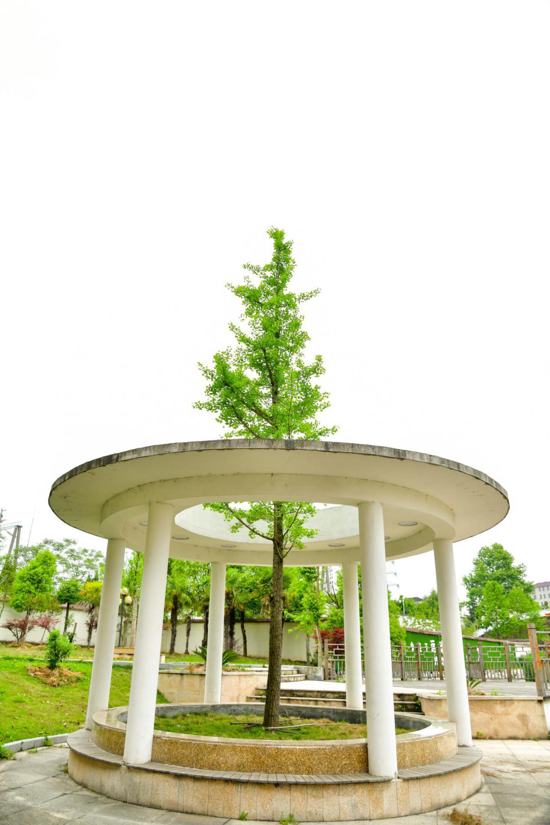 学抗疫先锋精神筑正气少年未来古山小学召开云端开学典礼