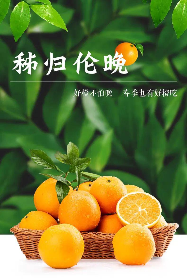 董事长李维龙推荐伦晚脐橙又一批新鲜到货产地直供吃1次等15个月
