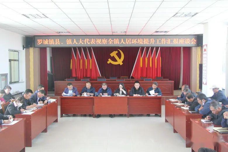 罗城镇人大代表视察全镇人居环境提升工作