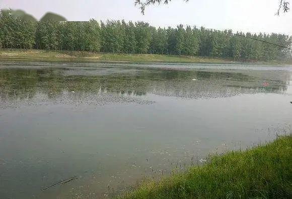 釣魚技巧春季水庫釣魚技巧南北方不同側重點