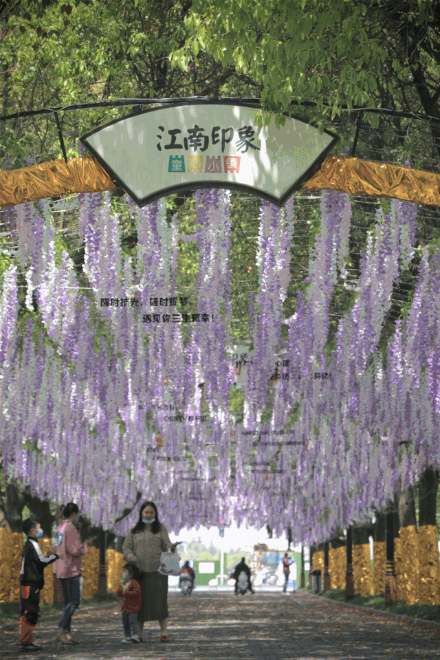 有奇幻光影的万物有光艺术展这里有如瀑如布的紫藤长廊春风入怀,有花
