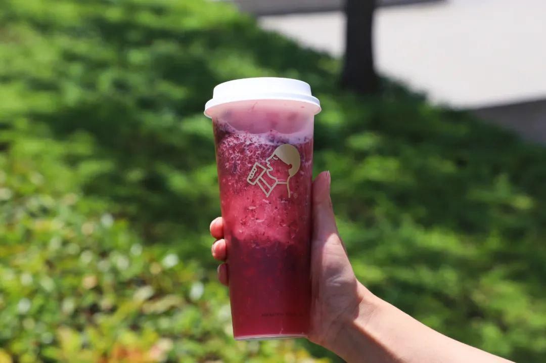 今夏第①杯喜茶来了多肉杨梅无核才硬核