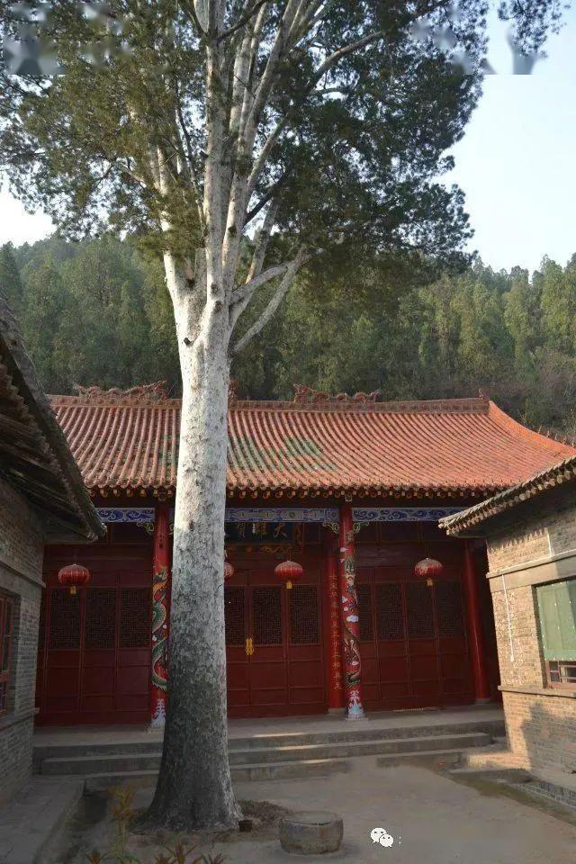 松林禅寺图片