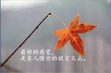 心情不好傷感的經典句子句句穿心