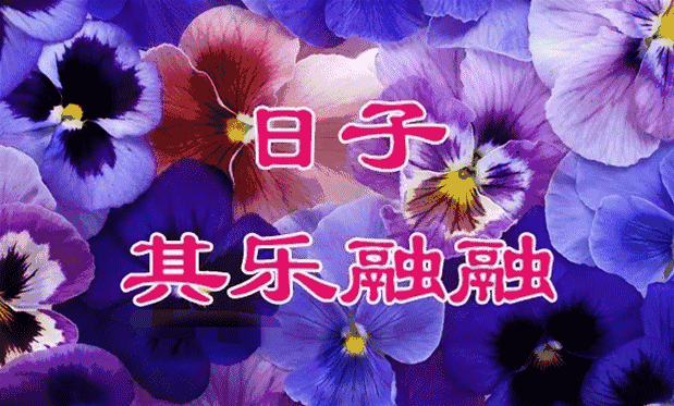 619_373gif 动态图 动图