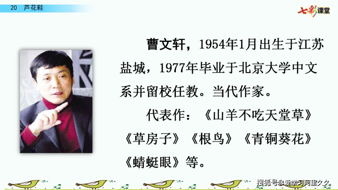 部编语文四年级下册第20课芦花鞋