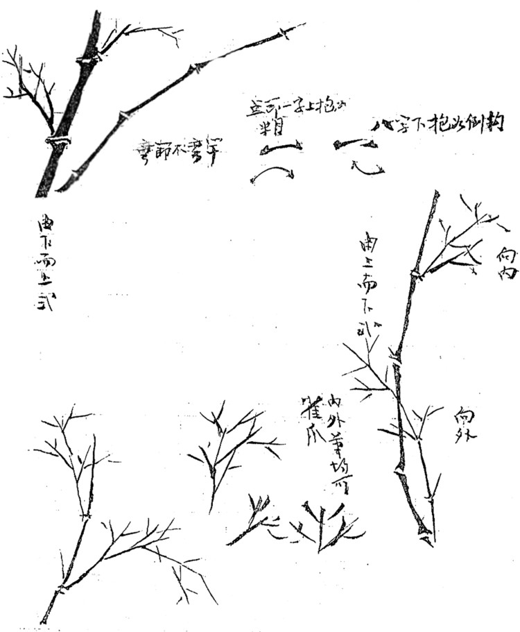 陈明谋怎样画竹