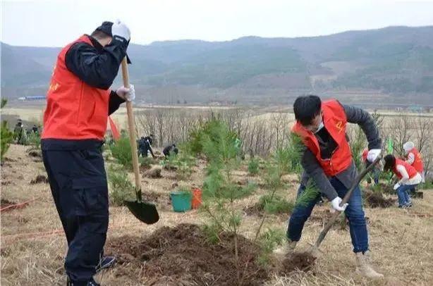 植樹造林美化家園200多名機關幹部義務植樹為我市添新綠