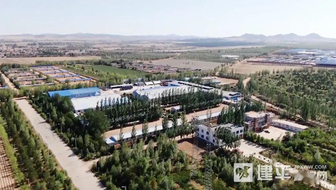 黑水镇:力促飞地经济项目落地见效_建平县