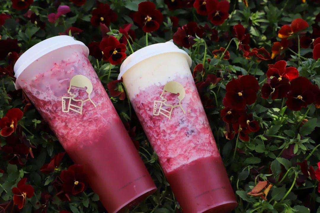 今夏第①杯喜茶来了!多肉杨梅,无核才硬核!_地址