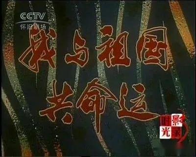 除了胜利别无选择孙丽红