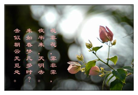 《花非花》是唐代詩人白居易所寫的一首雜言古詩.