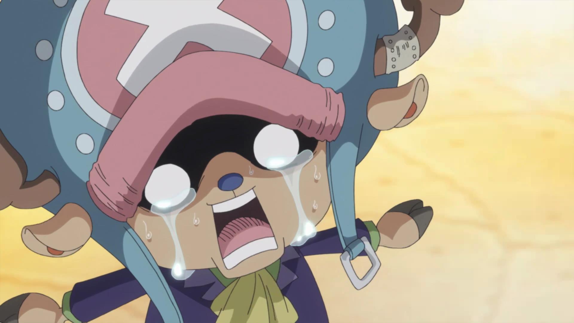 乔巴太难了除了当船医还有5种功能特殊情况还要充当备用食物