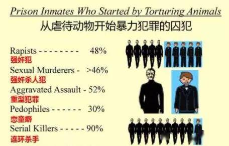 日本喂流浪猫的老爷爷，被几名虐猫的大学生活活打死