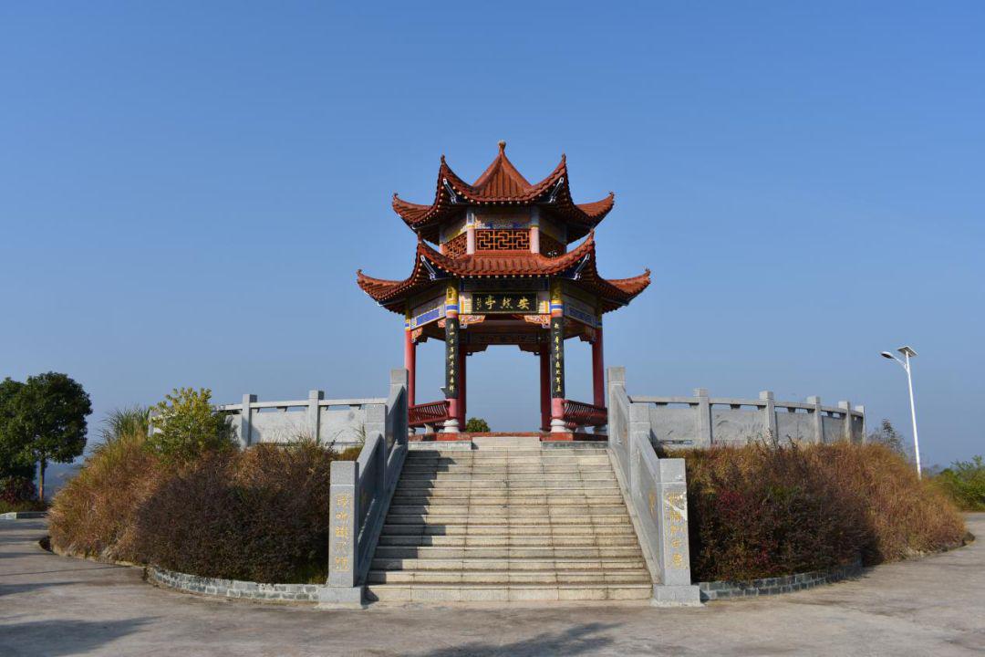 关注| 一起看赣县的春天(沙地篇)_季节