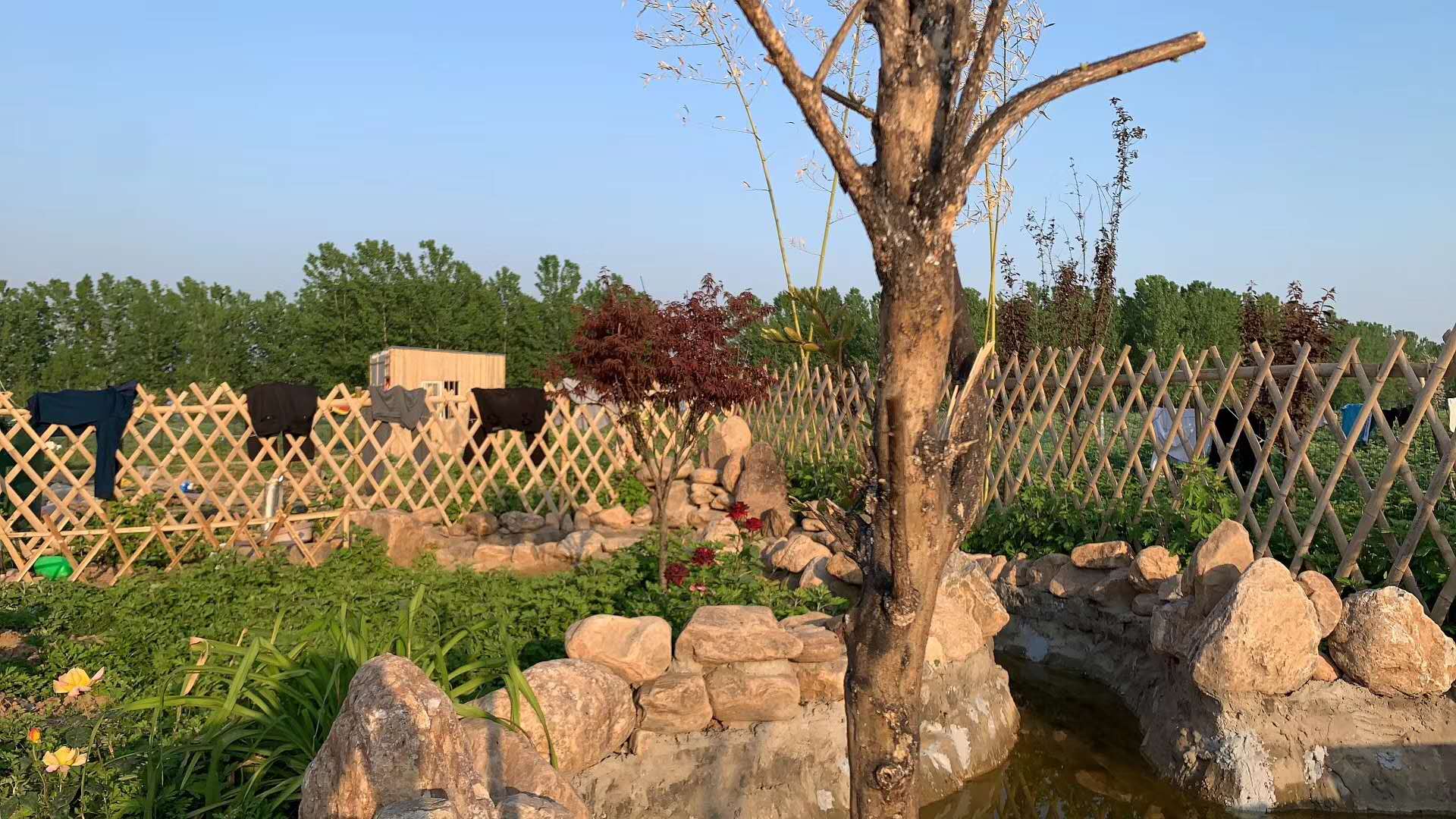 这样的小院 神往 竹篱筢 小花圃