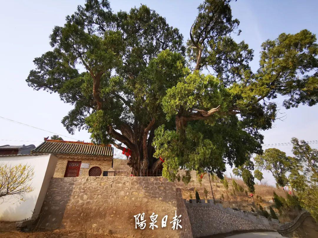 平定县东回镇瓦岭村是中国历史文化名村该村位于县城东南31公里处这里