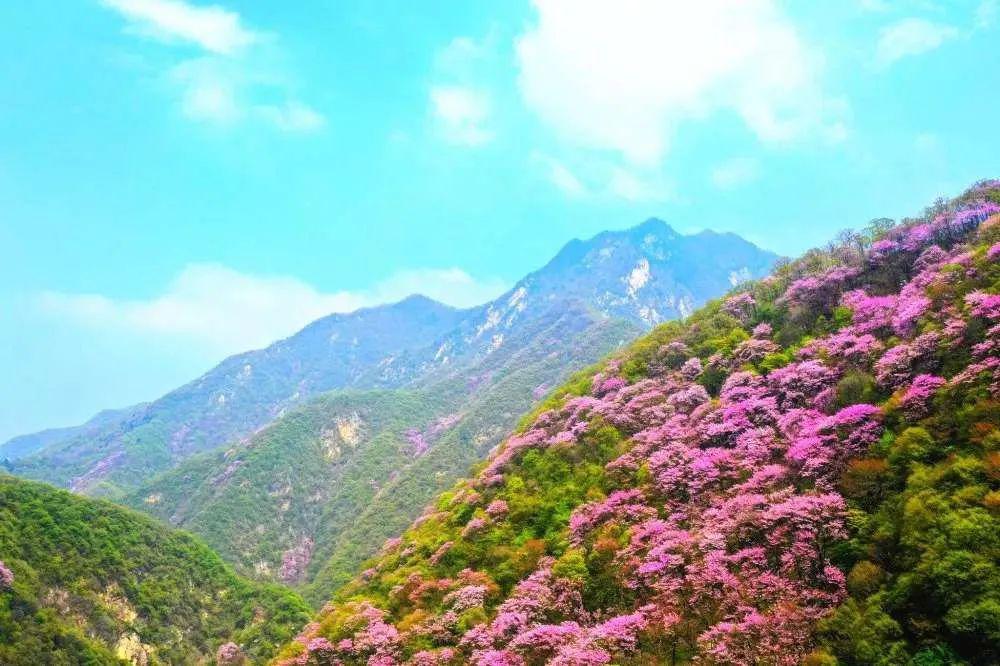 五一去哪儿西安周边这五条主题线路任你选