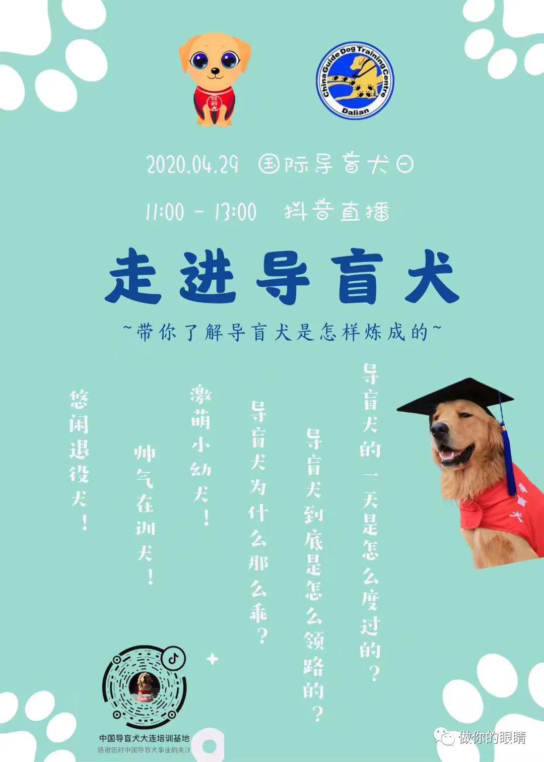 国际导盲犬日