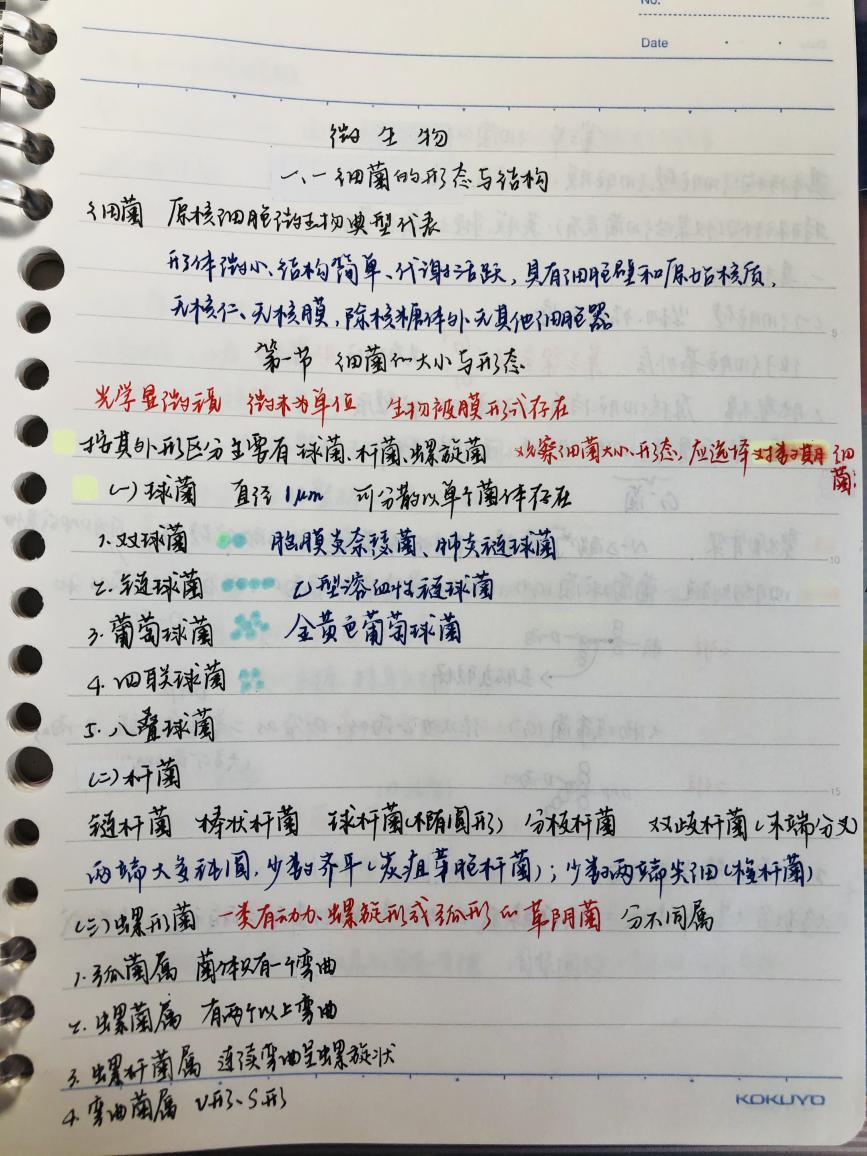 这是关于微生物的手写笔记,色彩丰富,要点清晰,字迹工整.