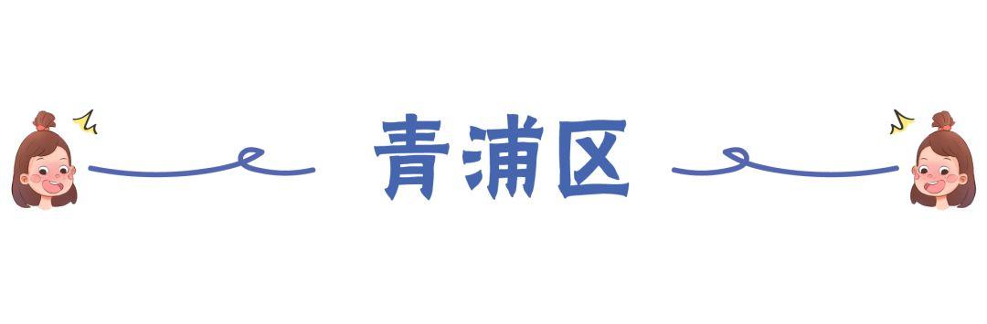 上海小学学费一学期多少钱?收费标准2020出炉(图32)