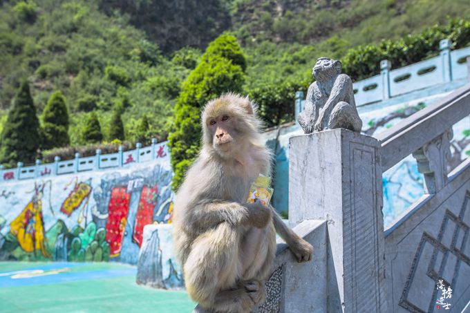 河南济源猴山图片