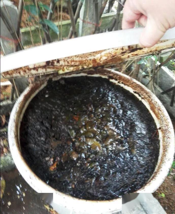 三款简易的自制有机肥料,满足你对家庭园艺"懒而美丽"的梦想!