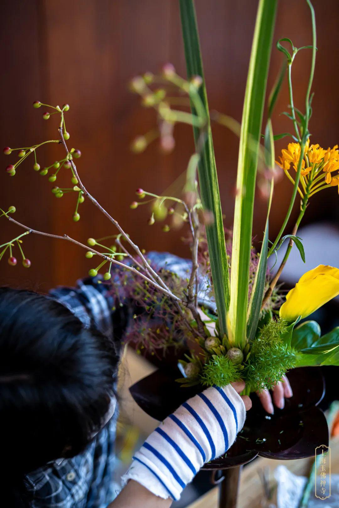 佛诞供花丨以香花供养庆贺佛诞愿见者欢喜勤修善法