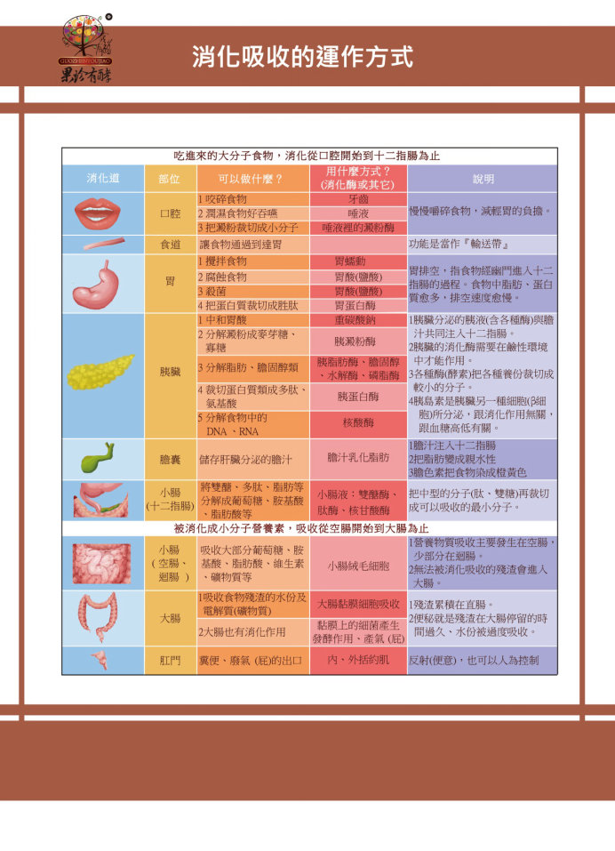 消化食物吸收营养是两码事