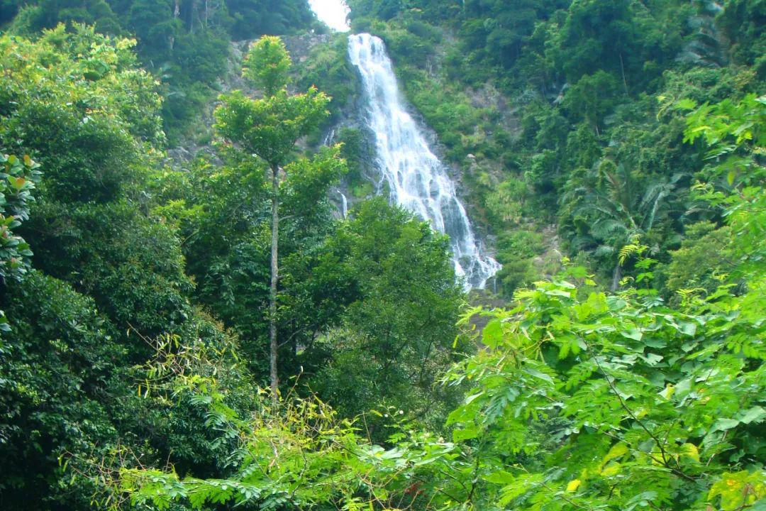 4,飞水岭热带旅游度假区