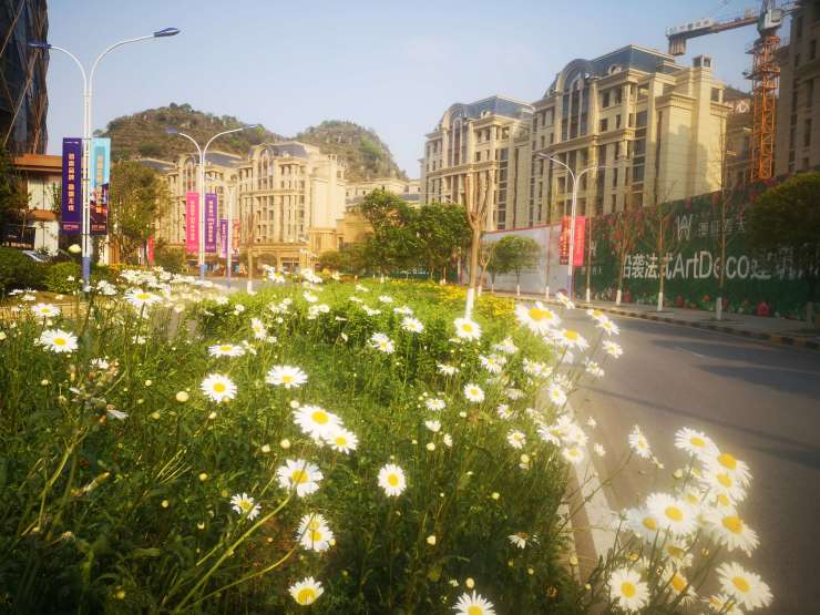 澳维夏天邀请您五一吃喝玩乐来安顺